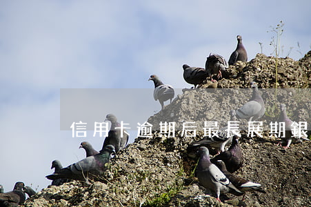 信用卡逾期后最長展期 銀行卡信用卡逾期