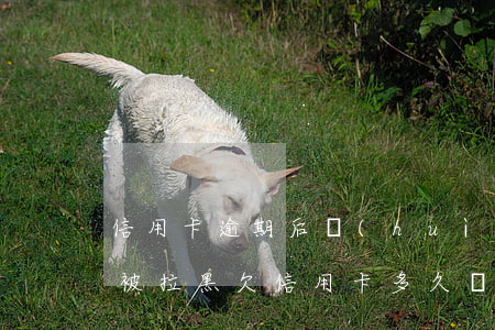 信用卡逾期后會(huì)不會(huì)被拉黑(欠信用卡多久會(huì)被拉黑名單)
