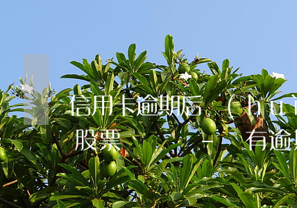 信用卡逾期后會(huì)凍結(jié)股票賬戶嗎-沒有逾期為什么信用卡被凍結(jié)