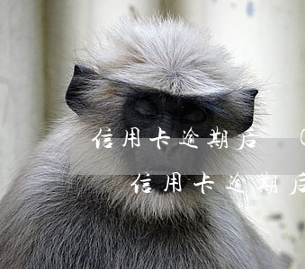 信用卡逾期后會(huì)影響一生的征信嗎(信用卡逾期后會(huì)影響一生的征信嗎知乎)