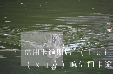 信用卡逾期后會(huì)影響孩子考大學(xué)嘛（信用卡逾期后會(huì)影響孩子考大學(xué)）