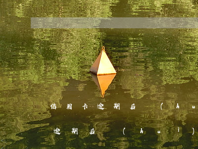 信用卡逾期后會(huì)怎么處理(信用卡逾期后會(huì)怎么處理)