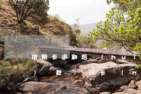 信用卡逾期后會(huì)自動(dòng)還款嗎(銀行卡會(huì)自動(dòng)還信用卡嗎)