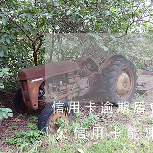 信用卡逾期后會凍結(jié)個人賬戶嗎(欠信用卡能凍結(jié)賬戶嗎)