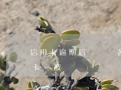 信用卡逾期后會凍結名下儲蓄卡嗎(逾期儲蓄卡會被凍結嗎)