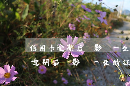 信用卡逾期后會影響一生的征信嗎-信用卡逾期后會影響一生的征信嗎知乎