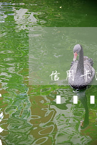 信用卡逾期后會從工資卡扣出嗎(欠信用卡錢會從銀行卡扣嗎)