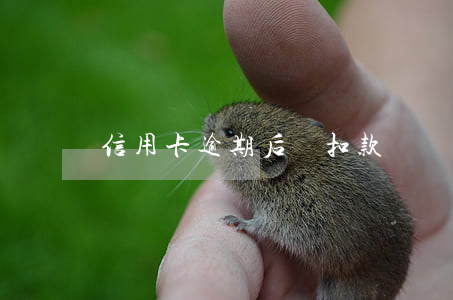 信用卡逾期后會扣款嗎