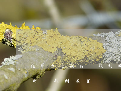 信用卡逾期后會找到家里嗎(沒錢還信用卡銀行會找到家里嗎)