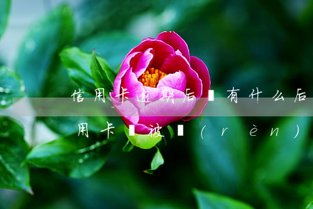 信用卡逾期后會有什么后果嗎(什么情況下信用卡會被認(rèn)為嚴(yán)重逾期)