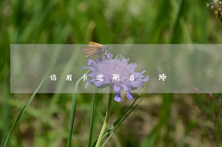 信用卡逾期后會降額嗎