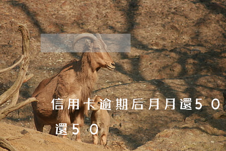 信用卡逾期后月月還50(信用卡逾期后月月還50)