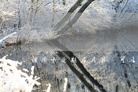 信用卡逾期后月月還可以嗎