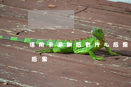 信用卡逾期后有什么后果(信用卡逾期带来的后果)
