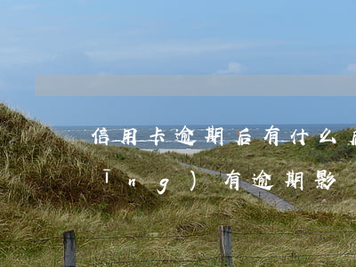 信用卡逾期后有什么后果嗎(信用卡 曾經(jīng)有逾期 影響)