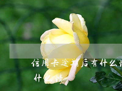 信用卡逾期后有什么情況-信用卡逾期后有什么情況