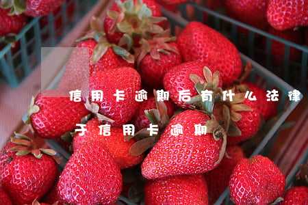 信用卡逾期后有什么法律責任(什么情況下屬于信用卡逾期)