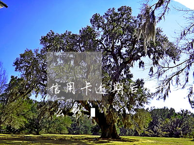 信用卡逾期后有什么煩惱(信用卡逾期了有什么影響)