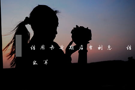 信用卡逾期后有利息嗎(信信用卡逾期利息怎么算)