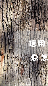 信用卡逾期后有利息怎么算(信用貸款逾期利息怎么算)