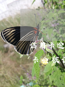 信用卡逾期后有哪些影响-什么情况下信用卡会被认为严重逾期