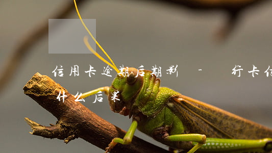 信用卡逾期后期影響-銀行卡信用卡逾期有什么后果