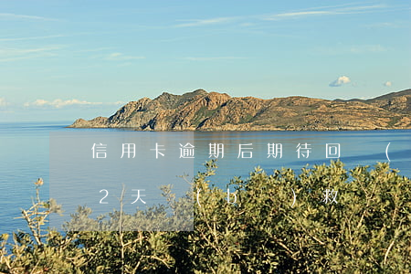 信用卡逾期后期待回復(fù)(信用卡逾期2天補(bǔ)救)