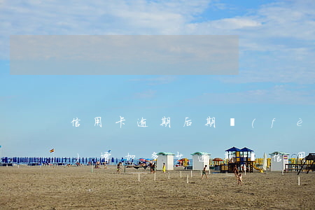 信用卡逾期后期費(fèi)用會(huì)增加多少(逾期還信用卡需要承擔(dān)什么法律責(zé)任)