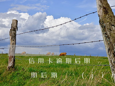信用卡逾期后期還進(jìn)去（信用卡逾期后期還進(jìn)去）