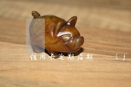 信用卡逾期后期還進(jìn)去還能用嗎