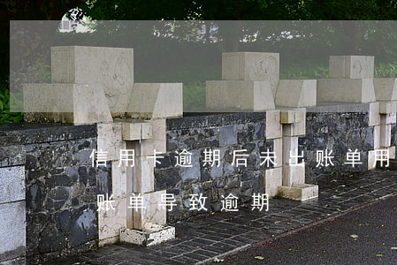 信用卡逾期后未出账单用还吗(未收到信用卡账单导致逾期)