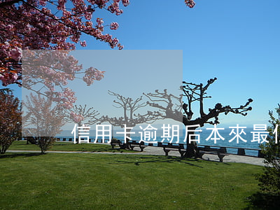 信用卡逾期后本來最低還款是多少