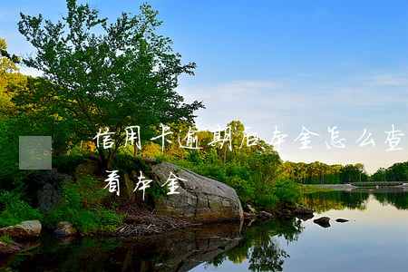 信用卡逾期后本金怎么查(信用卡逾期了怎么看本金)