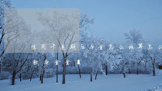 信用卡逾期后本金怎么核算(怎么看信用卡欠款本金金額)
