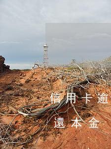 信用卡逾期后本金還了利息沒還(欠信用卡只還本金)