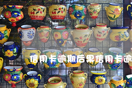 信用卡 逾期 后果（信用卡逾期后等起訴）