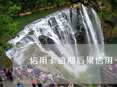 信用卡 逾期 后果（信用卡逾期涉及法律责任）