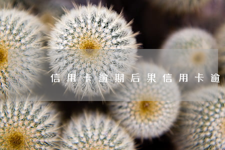信用卡 逾期 后果（信用卡逾期被堵門）