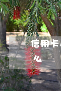 信用卡逾期后果分析(如果說信用卡逾期會怎么樣)