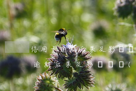 信用卡逾期后果及影響廣發(fā) 信用卡逾期后果及影響廣發(fā)