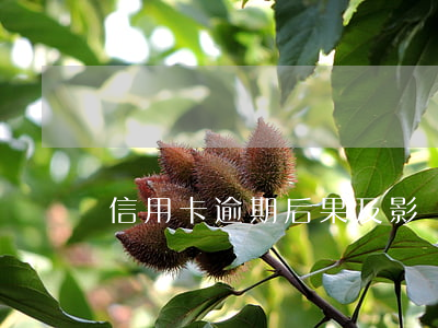 信用卡逾期后果及影響(銀行信用卡逾期后果)