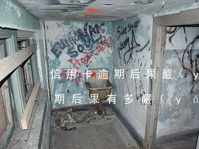 信用卡逾期后果嚴(yán)重嗎(信用卡逾期后果有多嚴(yán)重)