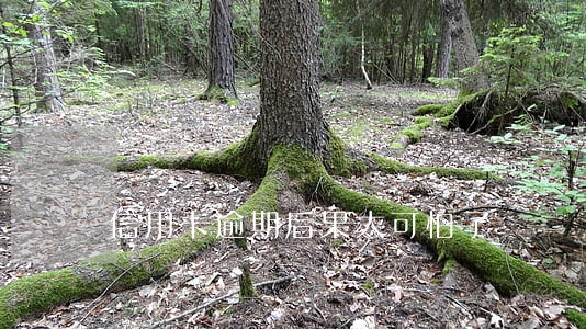信用卡逾期后果太可怕了