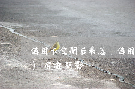信用卡逾期后果怎樣(信用卡 曾經(jīng)有逾期 影響)