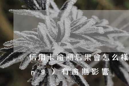 信用卡逾期后果會怎么樣(信用卡 曾經(jīng)有逾期 影響)