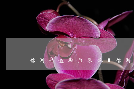 信用卡逾期后果(花唄信用卡逾期后果)