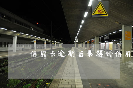 信用卡逾期后果解析(信用卡 逾期了怎么办)