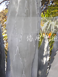 信用卡逾期后果解析(信用卡 逾期了怎么辦)