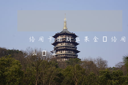 信用卡逾期后果金額(信用卡逾期后果金額怎么計算)