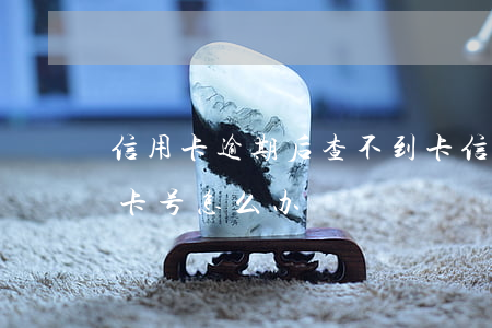 信用卡逾期后查不到卡(信用卡逾期后查不到卡号怎么办)